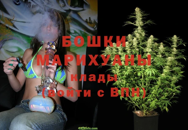 дживик Ельня