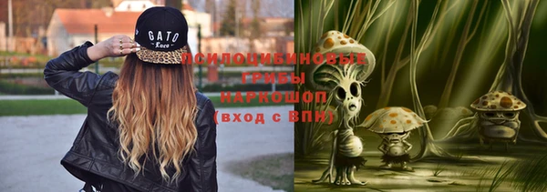 мдпв Заволжск