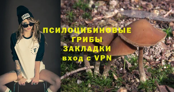 дживик Ельня