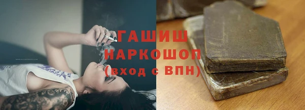 дживик Ельня
