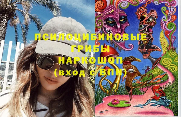 ПСИЛОЦИБИНОВЫЕ ГРИБЫ Елизово