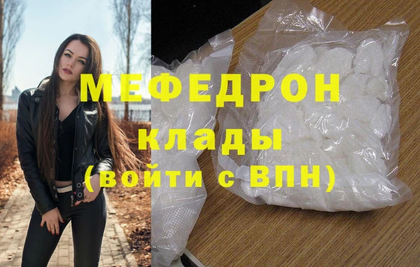 дживик Ельня