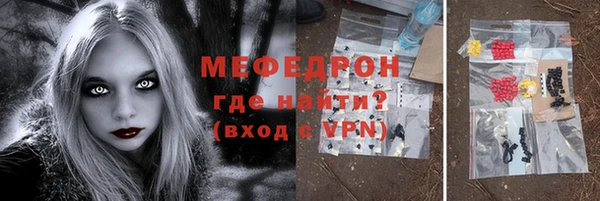 дживик Ельня