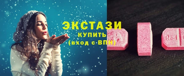 дживик Ельня