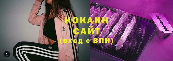 ГАЛЛЮЦИНОГЕННЫЕ ГРИБЫ Зерноград