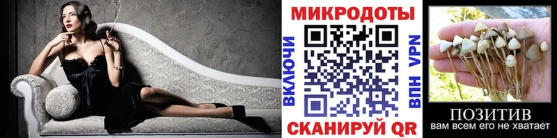 Купить где  Камышлов  Галлюциногенные грибы MAGIC MUSHROOMS 